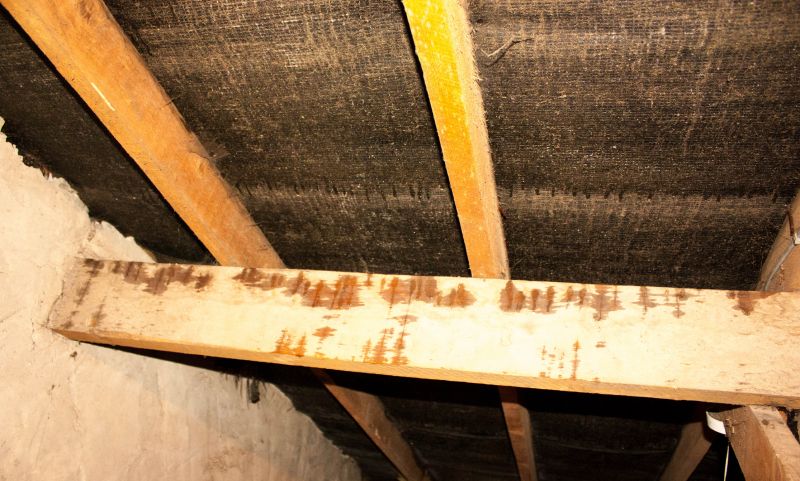 Home Restoration in Conroe, TX